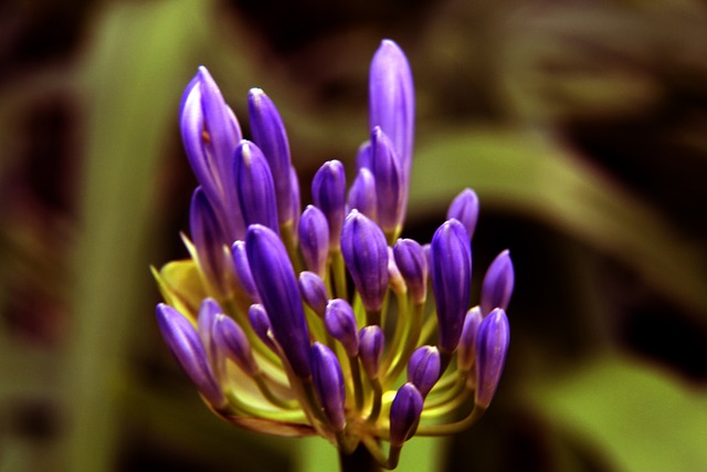 功经验都值 功经验都值