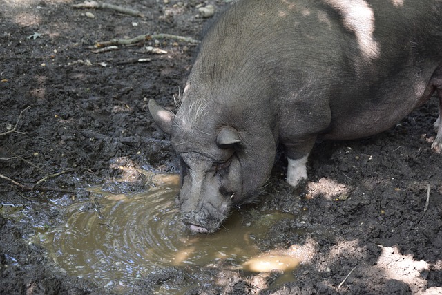 战术的核心 战术的核心