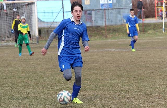 的专家们齐 的专家们齐