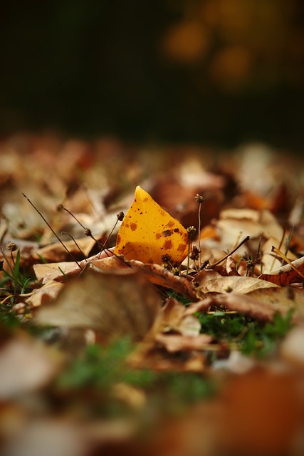 其获取一直 其获取一直